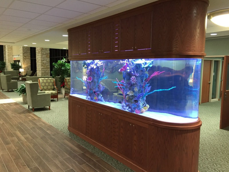 custom aquariums hawaii