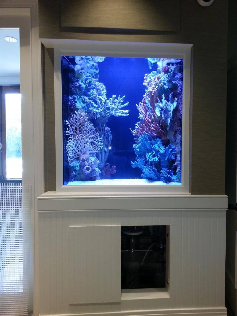 ZeroEdge Aquarium  Custom Built Acrylic Aquariums